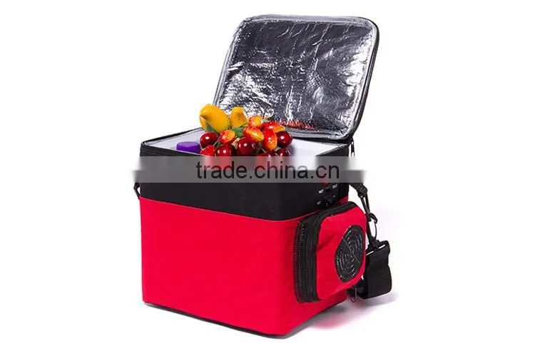 Portable outdoor holiday mini car refrigerator