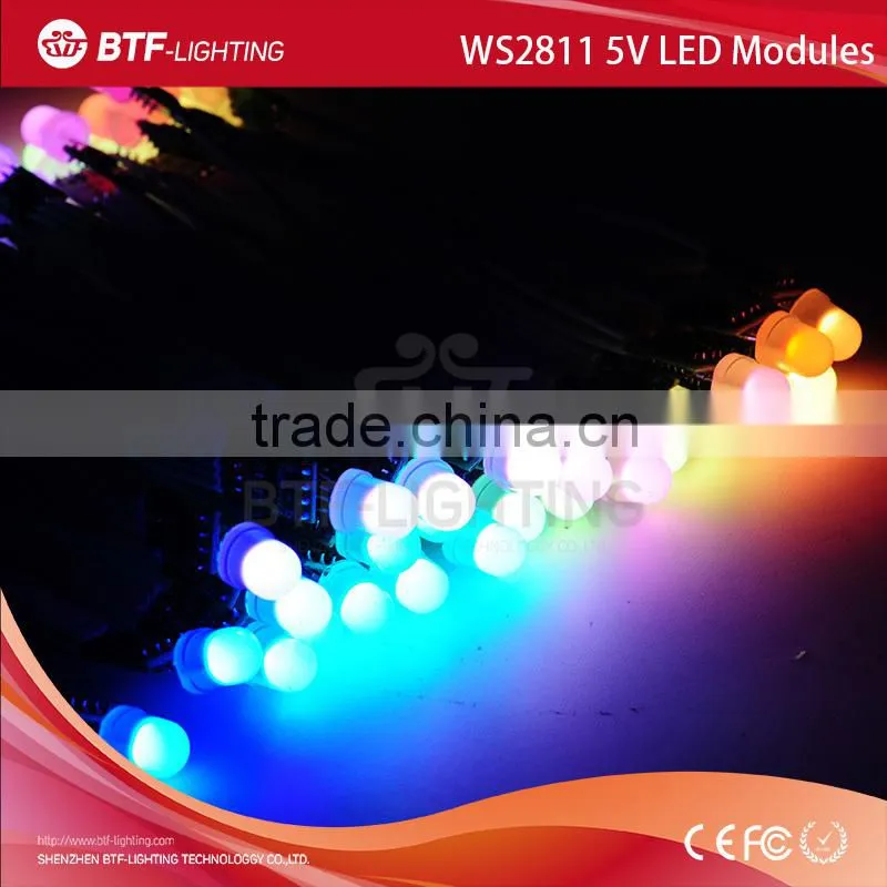ws2811 led modules non-waterproof 5v Black wire
