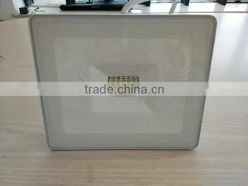 Everstar CE/RoHS IP65 30W 2400LM Cheap LED SMD Floodlight