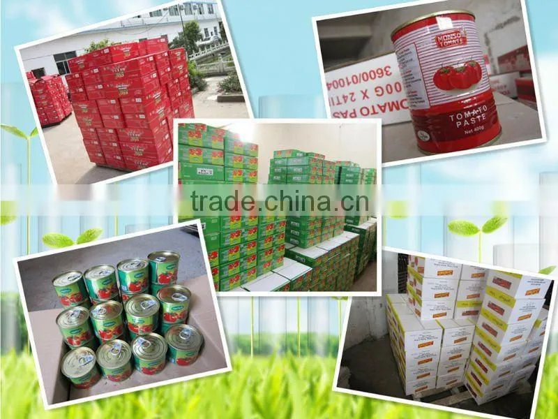 good quality canned tomato paste 28-30% 425g