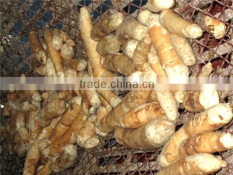 cassava starch production line cassava peeler and slicer/cassava peeling and slicing machine