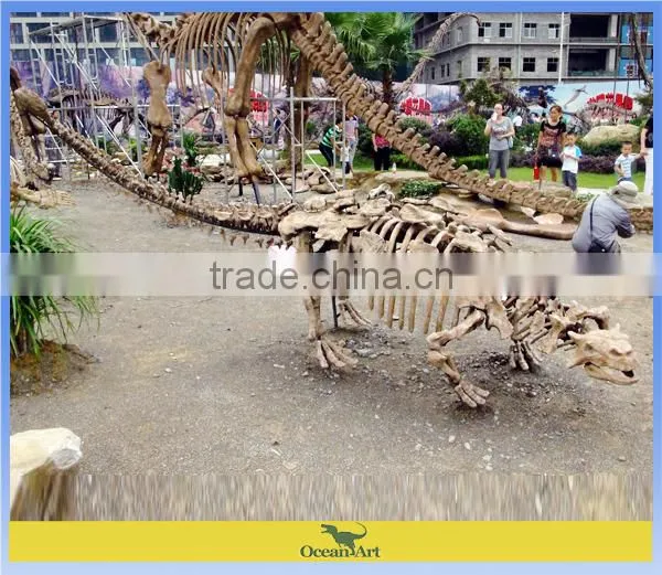 Outdoor museum quality real size fiberglass dinosaur skeleton