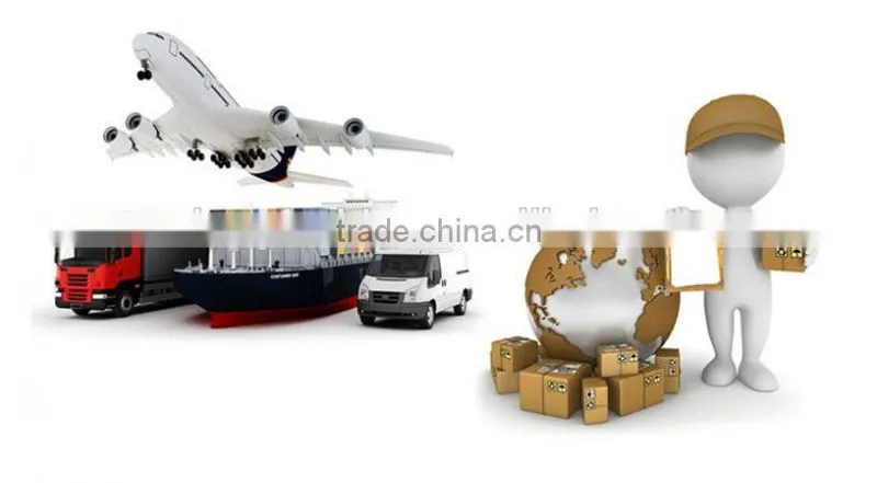 Custom Fashion Polyester Canvas Webbing Belt Manufacturer
