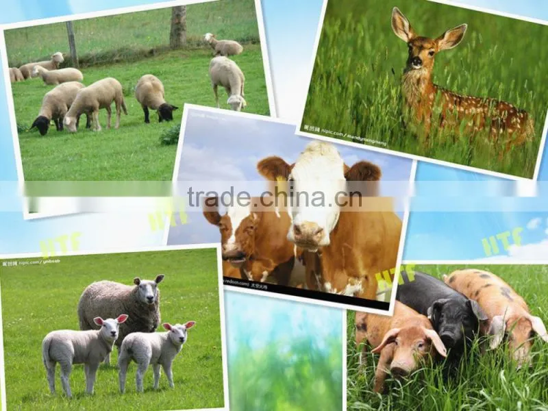 farm electrical fencing braided polyrope for cow farm equipment