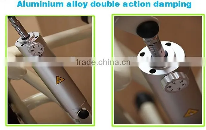 Dezhou Wholesale Muscle Training Indoor Exercise Machine HDX-N010 Rotary Rorso/High Quality Gym Fitness Equipment
