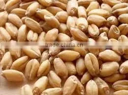 wheat flour milling machine
