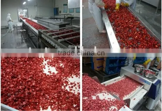 Frozen Strawberry best selling products