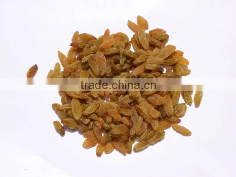 Dried Raisins