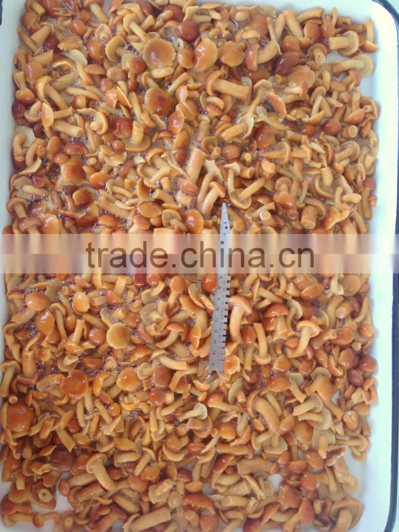 2014 new crop canned marinated nameko mushrooms