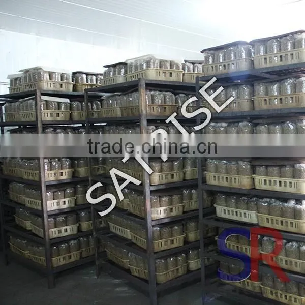 2016 Hor Sale automatic mushroom sterilizer machinery