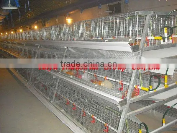 layout poultry farm house design ( product, equipment )