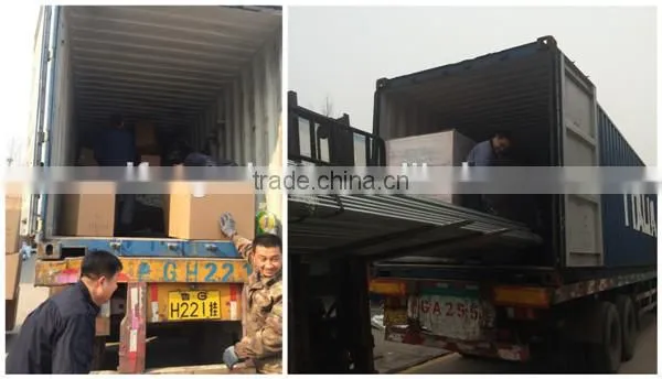 Automatic broiler chicken farming equipment