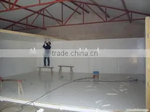 Sandwich Cold Room Panel for Fruit Vegetables Sea Food Meat