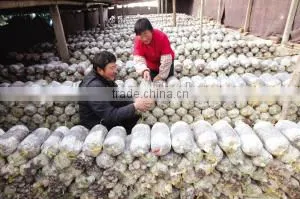 electric clutch-brake mushroom bagging machine +8618637188608