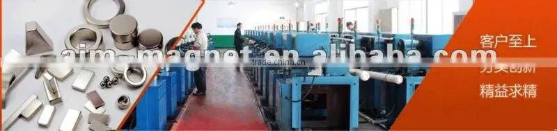 Micro-motor ndfeb magnet Tile