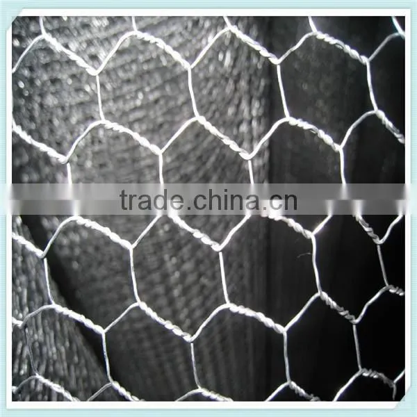 Hepeng manufacturer gabion wire mesh/Hexagonal wire netting