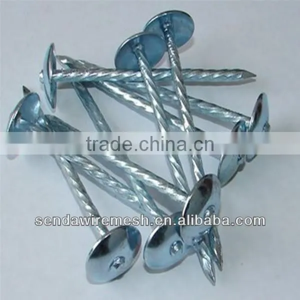 Umbrella head Roofing Nails