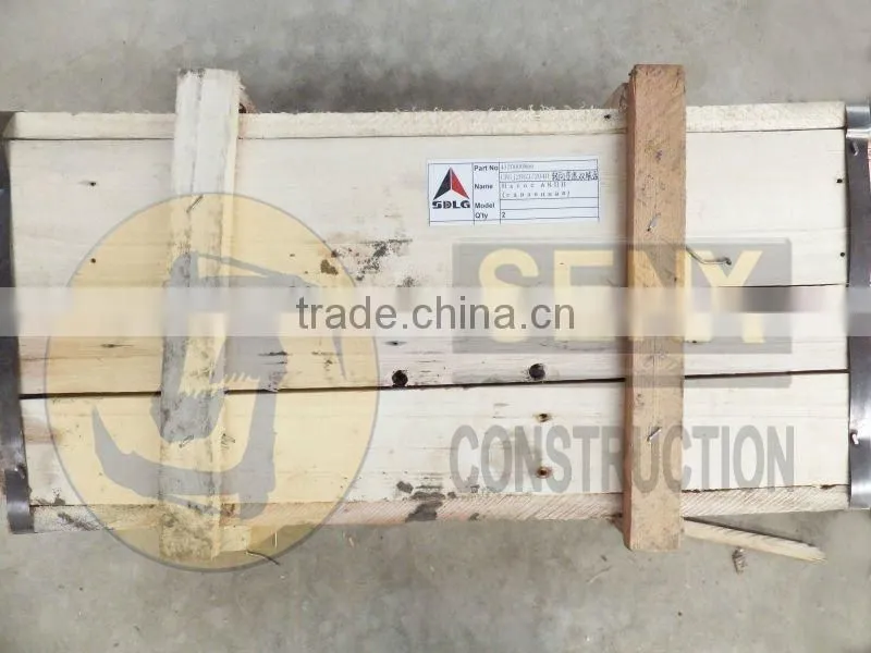 100% genuine parts for SENX LG936 double gear pump CBGj2063/2040
