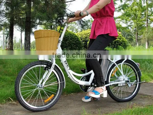 250W Cheap Steel Frame Electric Bike with EN15194 and EN14764 (EL09)