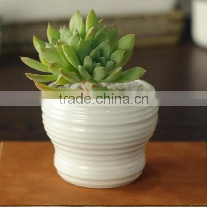 Indoor mini glazed white pottery planter for succulent
