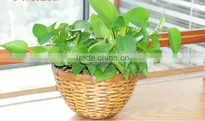 Handmade Natural willow wicker plastic lined plant basket flower plant pots