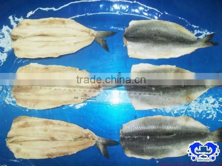 frozen fish herring fillet seafood