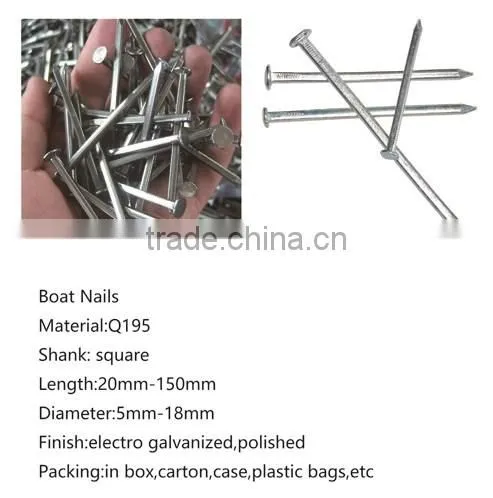 Cheap Price Hot Dipped Galvanized Boat Nails Square Shank Boat Nails