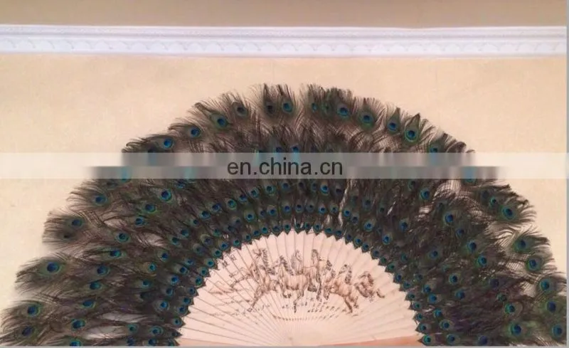 160cm-170cm large decorative natural peacock feather fan for party hang on the wall