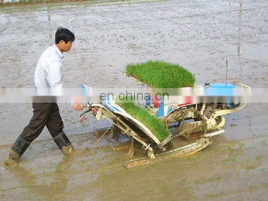 rice planting machine/paddy seeder/rice planter with factory price 0086-13838527397