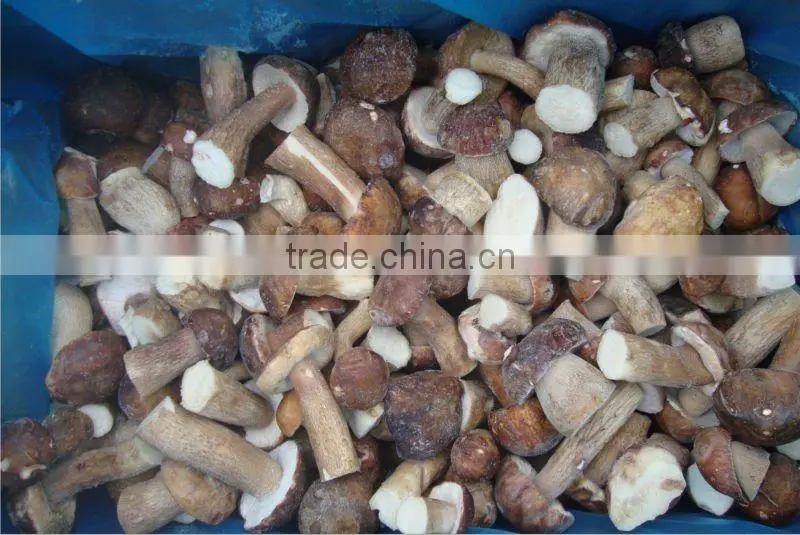 Frozen Boletus Edulis, Whole, grade A, 2-4cm