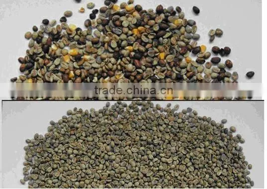 Coffee bean color sorting machine Coffee Bean Sorting Machines