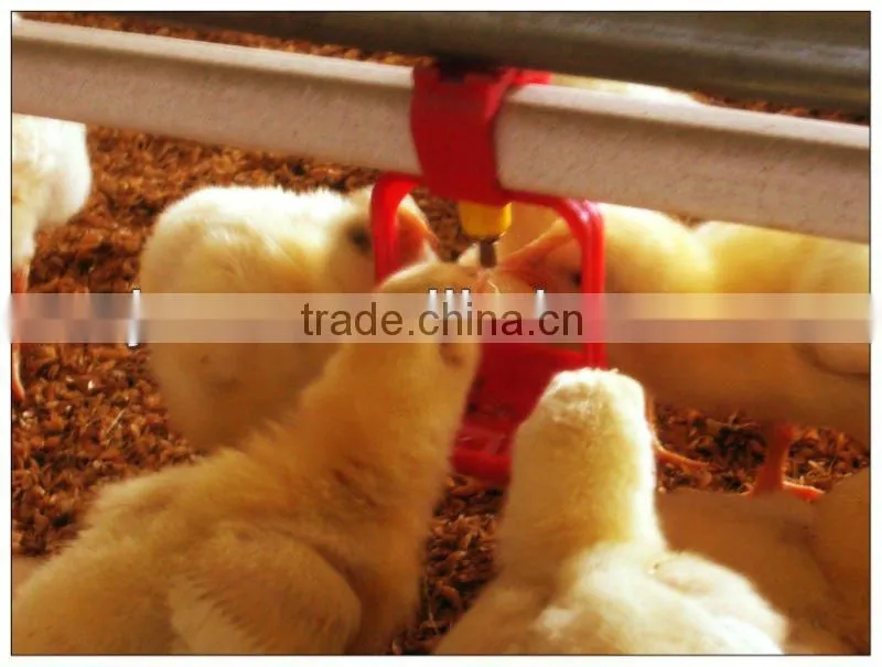 2016 popular poultry farm equipment chicken waterer