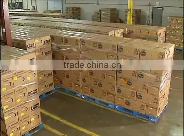 CLEAN FRESH WHITE AND BROWN EGGS FOR SALE BRAZIL ORIGIN