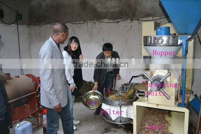 home oil machine/screw oil press machine