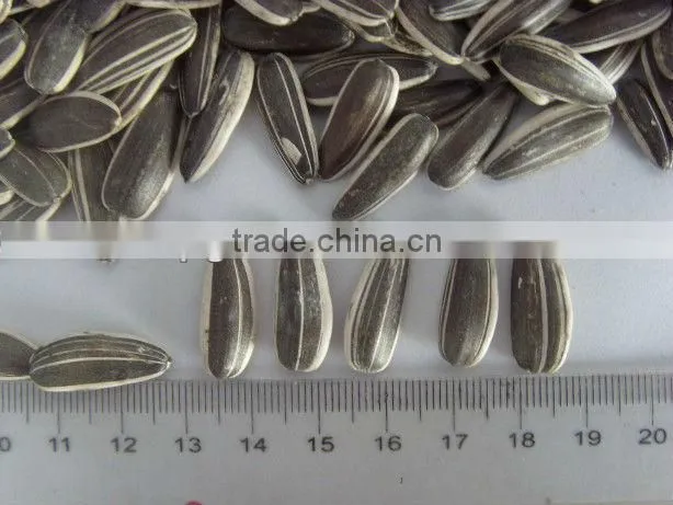 sunflower seeds 0409 market price