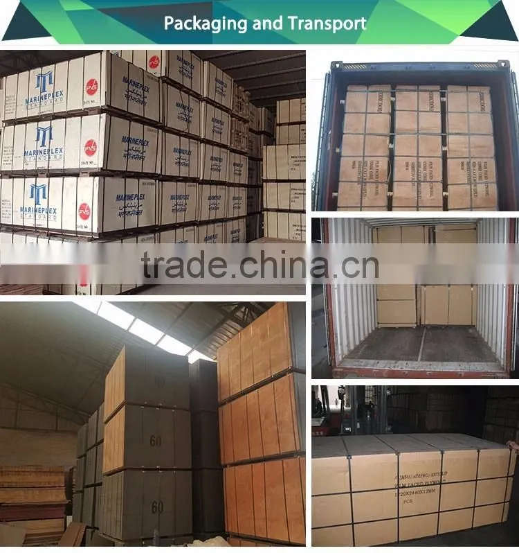 High Quality Outdoor Construction film faced plywood birch plywood