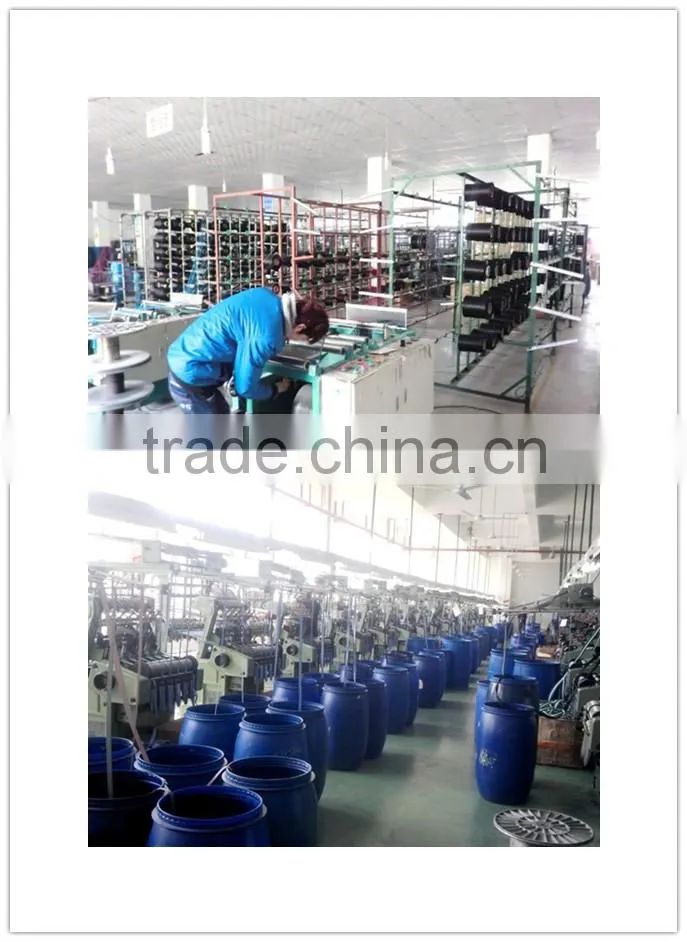 Hot sale!!!Top quality fashionable polyester webbing for safety belt Strap Webbing