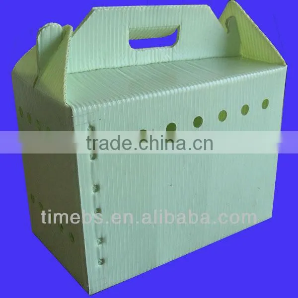 Fresh apple fruit packaging boxes
