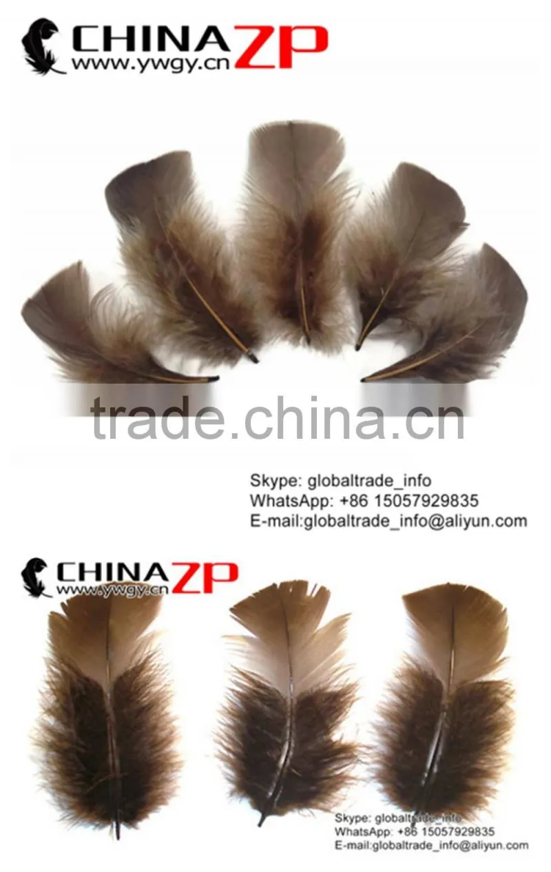 ZPDECOR Unique Plumage Crafts Factory Bulk Dyed Brown Turkey T-Base Body Feathers for Sale