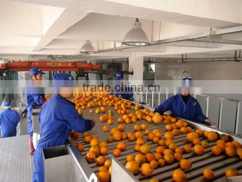 turn key full automatic orange juice processing line