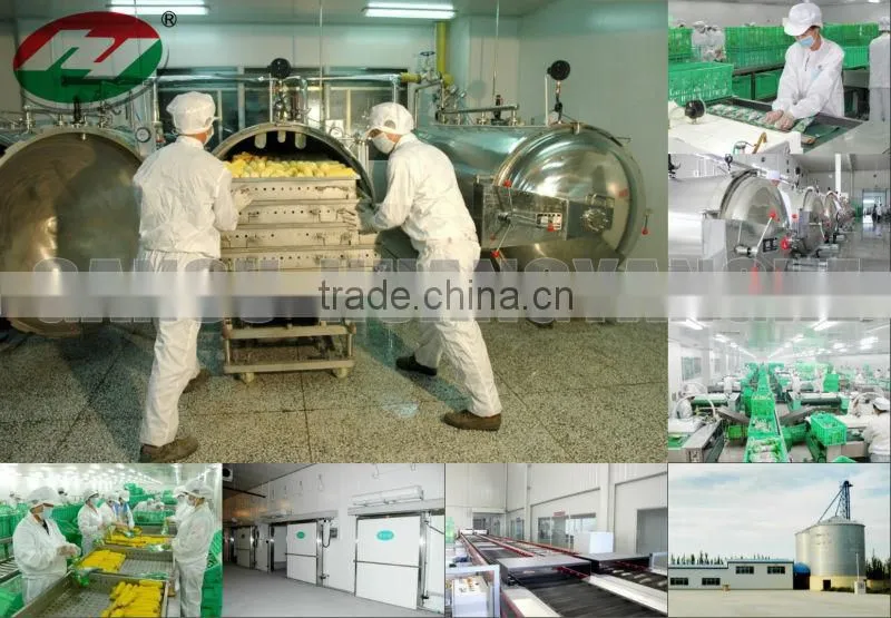 Vacuum Processed Sweet Corn