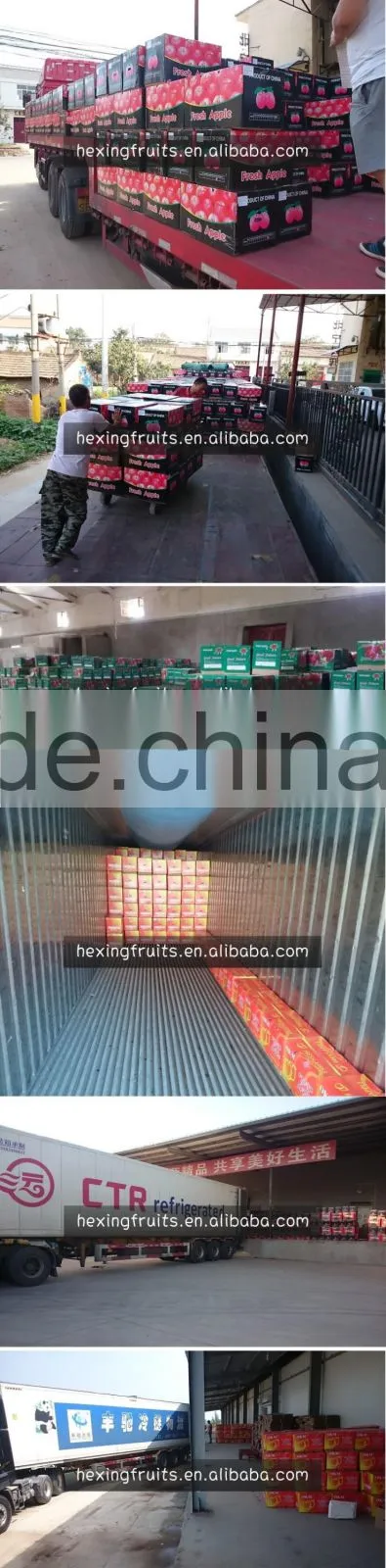 HUANIU APPLES IN CHINA