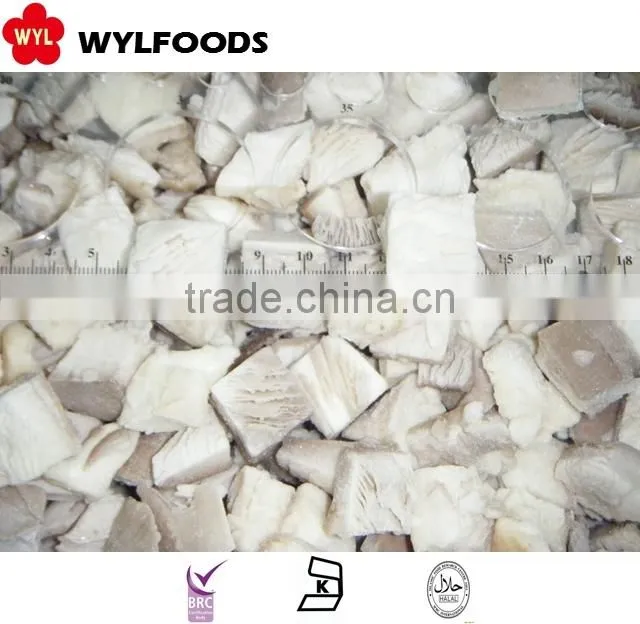 frozen oyster mushrooms wholesales price new season
