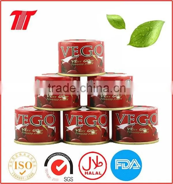 70g Tomato Paste of VEGO Brand Packing in Sachet