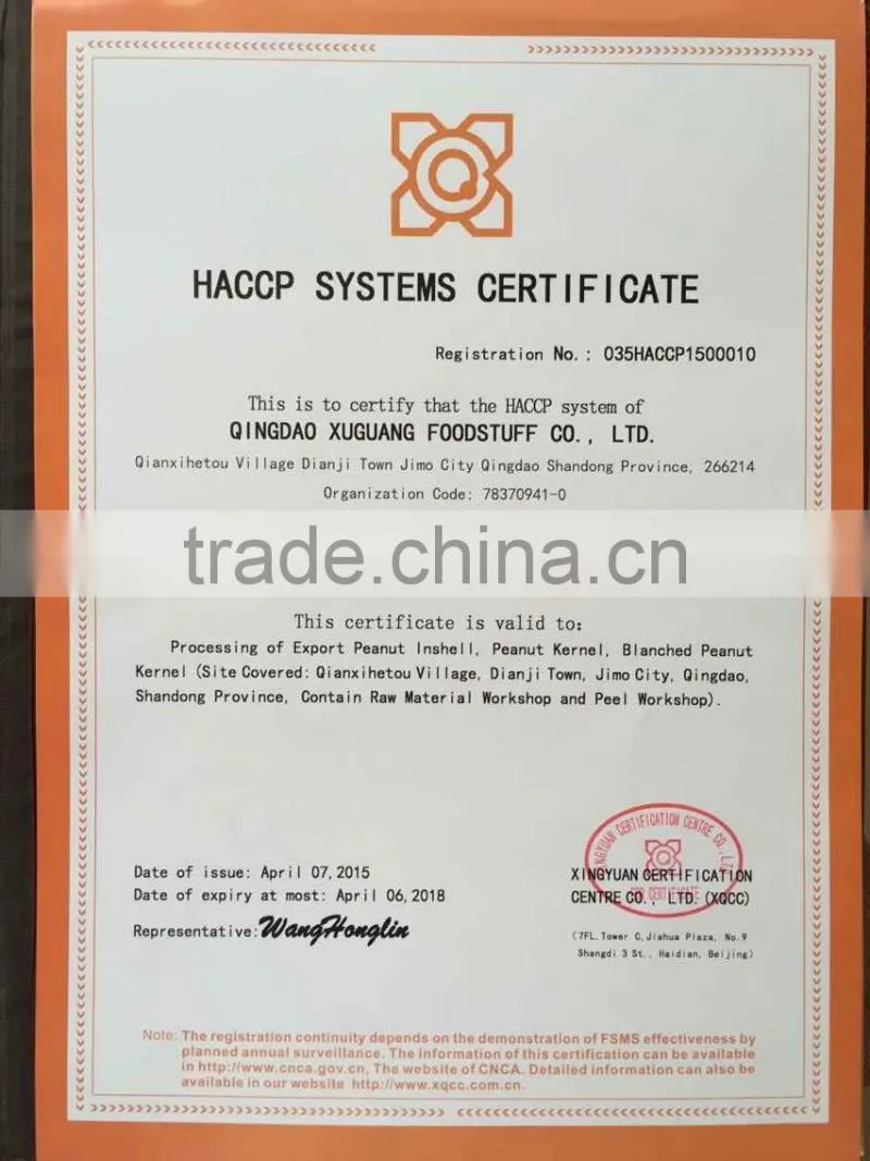 Shandong good quality blanched peanut