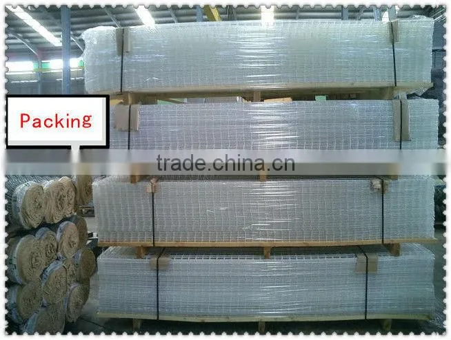 2'' mesh size 3mm galvanized Welded Wire Mesh Panel/galvanized/PVC coated