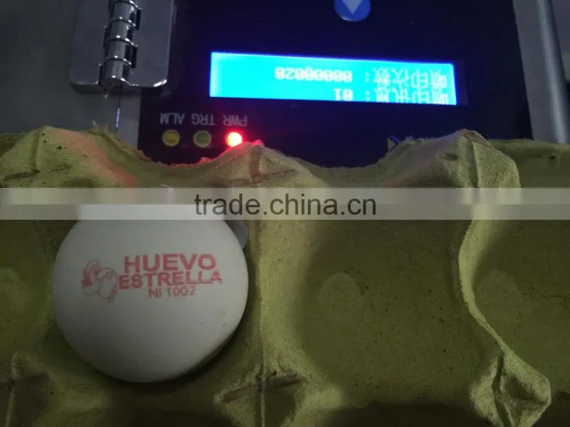 Hot Stamping Date Coding Machine/Egg Code Printing Machine/Bottle Date Code