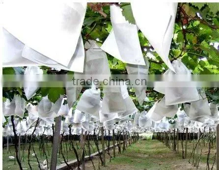 paper fruit protecting bag for grape