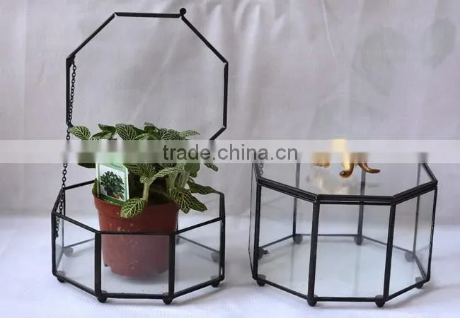 Micro indoor deocr landscape vase indoor plant glass terrarium