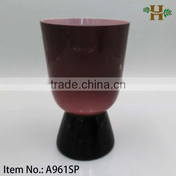 Home Decoration Distinctive Large Glass Vase